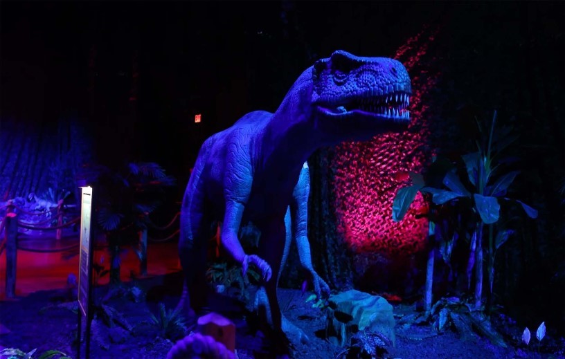 Dino Experience en Mendoza 