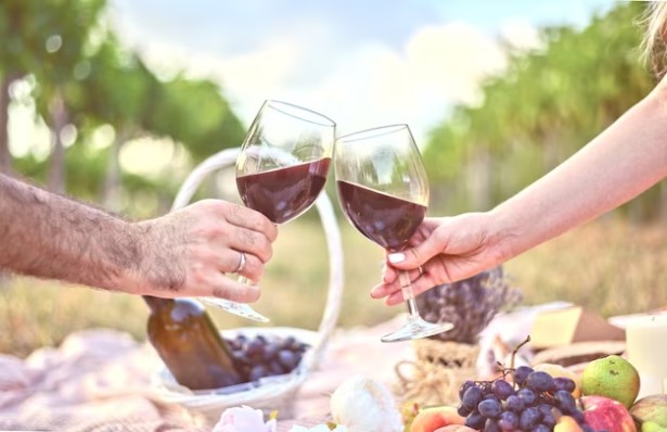 Verano en Mendoza con m&aacute;s de 60 propuestas gratuitas 