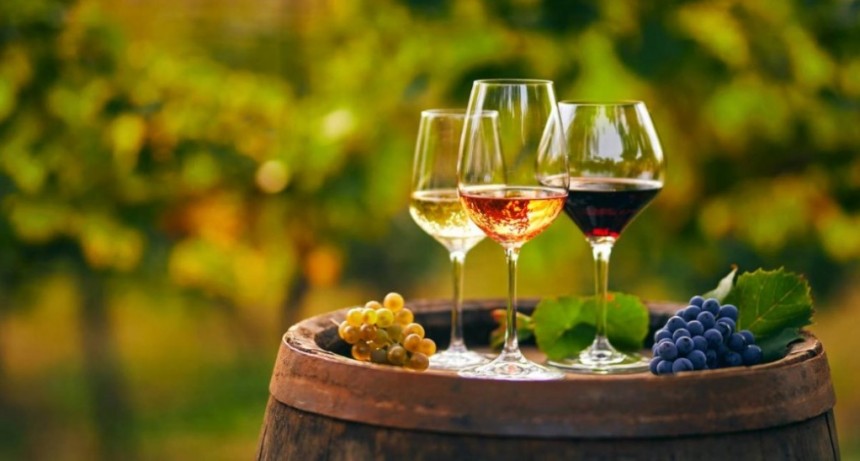 Se viene Vino Vivo en San Carlos 