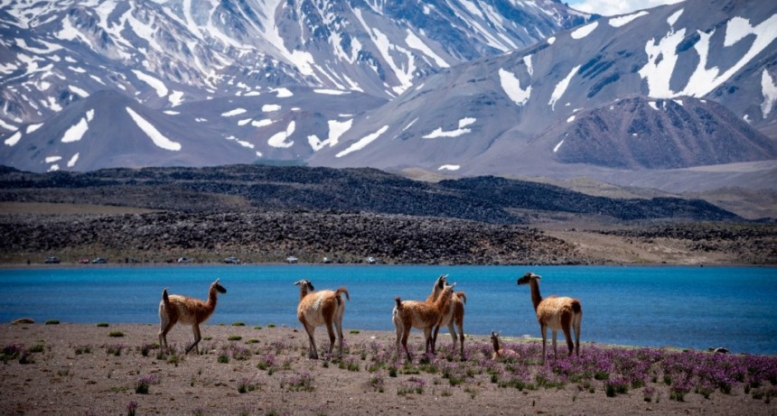 Laguna del Diamante abri&oacute; su temporada 2025
