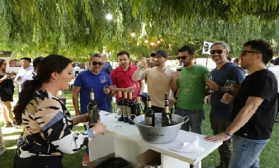 Cinco actividades para vivir a pleno la &eacute;poca de Vendimia en Mendoza