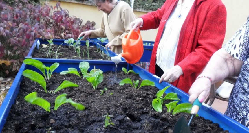 Cultivando identidad: una jornada de siembra en Tupungato