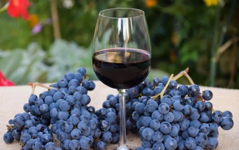 Hoy es el aniversario del Malbec &iexcl;Salud!