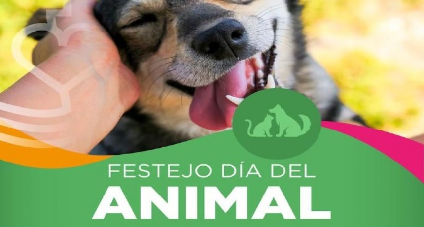 San Carlos festeja el d&iacute;a del animal