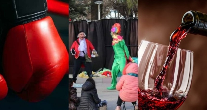 Boxeo, teatro infantil y tour de vinos: la agenda de este fin de semana en Valle de Uco