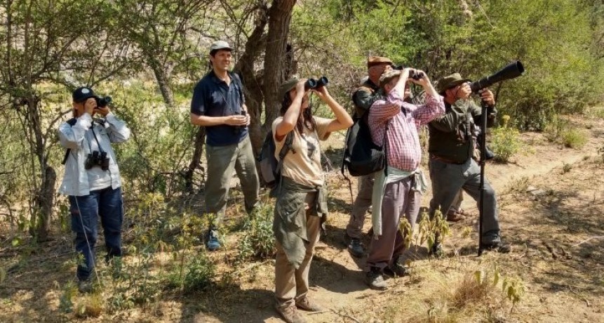 El Museo Moyano invita a una nueva charla sobre avistaje de aves