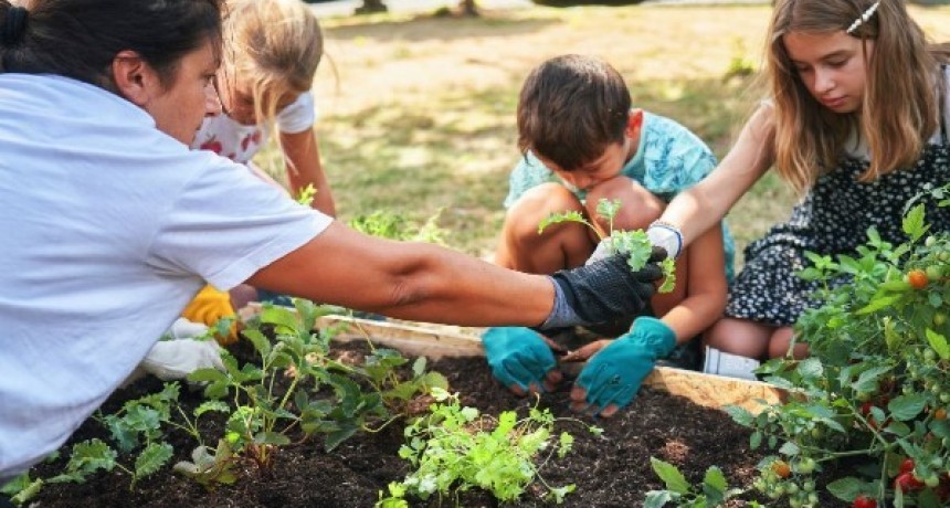 San Carlos: dictar&aacute; un taller gratuito para hacer tu huerta de invierno 