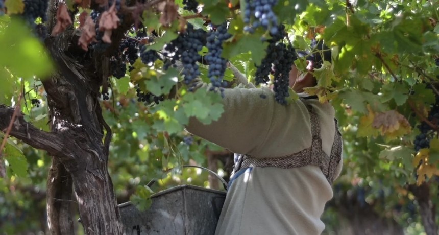 Tunuy&aacute;n dar&aacute; una jornada sobre la valorizaci&oacute;n de productos y regiones vitivin&iacute;colas del Valle de Uco