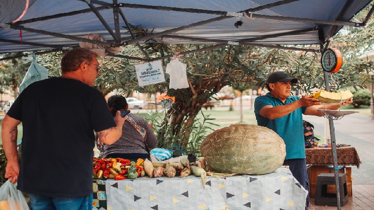 Compr&aacute; local y apoy&aacute; a los emprendedores en la Ecoferia y el Paseo Artesanal
