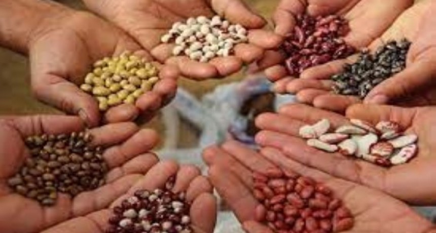 San Carlos: Llega la 7&deg; Feria de Intercambio de Semillas y Saberes