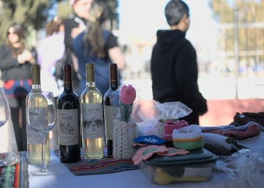 Ecoferia: especial Día de la Madre en Tupungato 