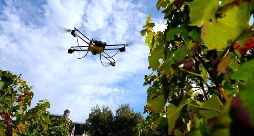 Se viene la Expoagro en Tunuy&aacute;n: dos jornadas centradas en la mecanizaci&oacute;n y tecnolog&iacute;a de la vitivinicultura