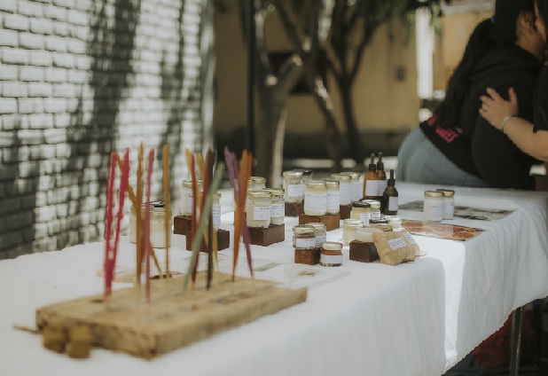 Última Ecoferia del Año en Tupungato 